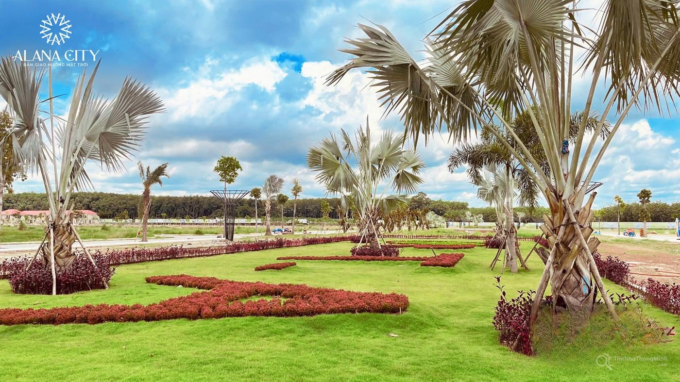 Hình ảnh chi tiết dự án