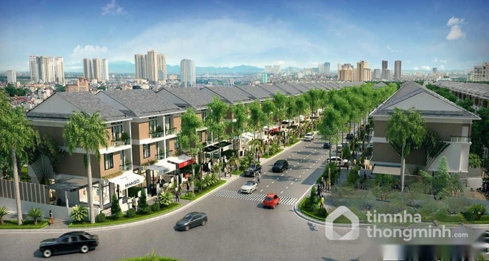 An Vượng Villa - Hình ảnh bất động sản 1/6
