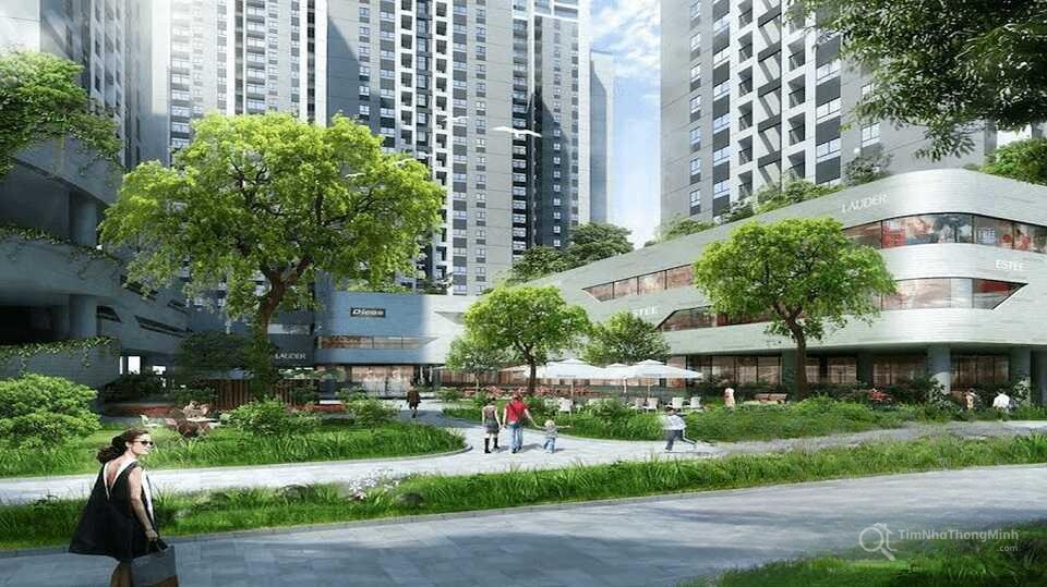 Chi tiết dự án
