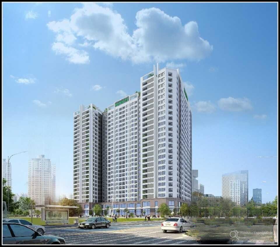 Chi tiết dự án