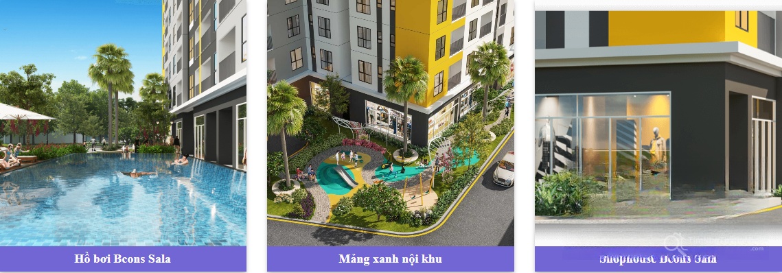 Hình ảnh chi tiết dự án