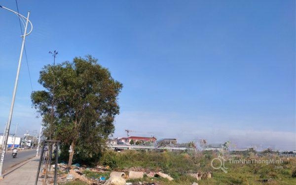 Hình ảnh chi tiết dự án