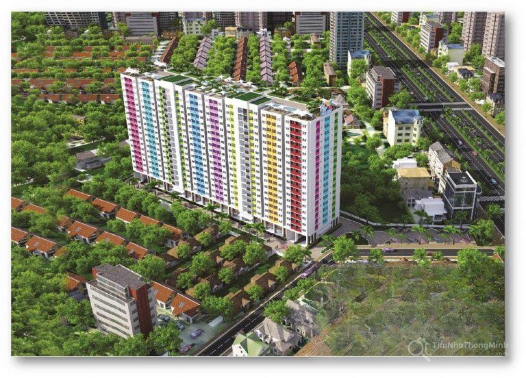 Chi tiết dự án