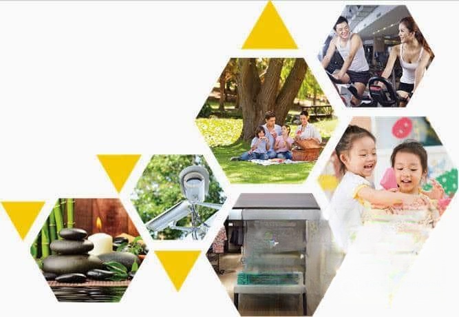 Chi tiết dự án