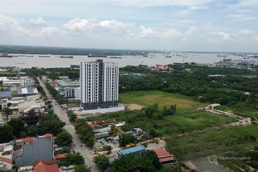 Chi tiết dự án