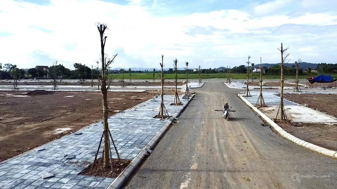 Hình ảnh chi tiết dự án