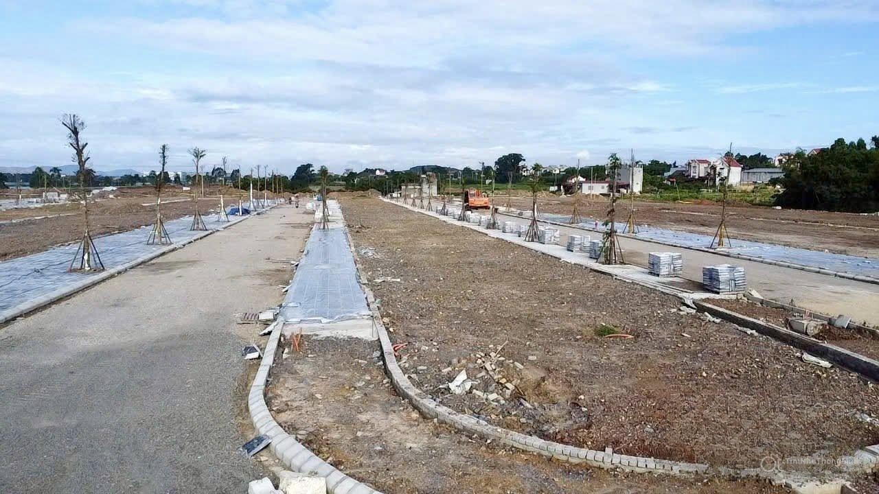 Hình ảnh chi tiết dự án
