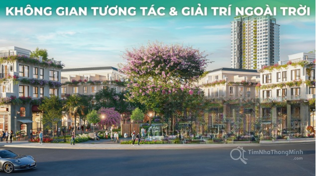 Hình ảnh chi tiết dự án