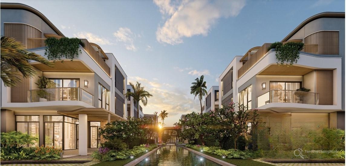 Chi tiết dự án