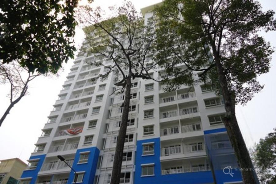 Chi tiết dự án