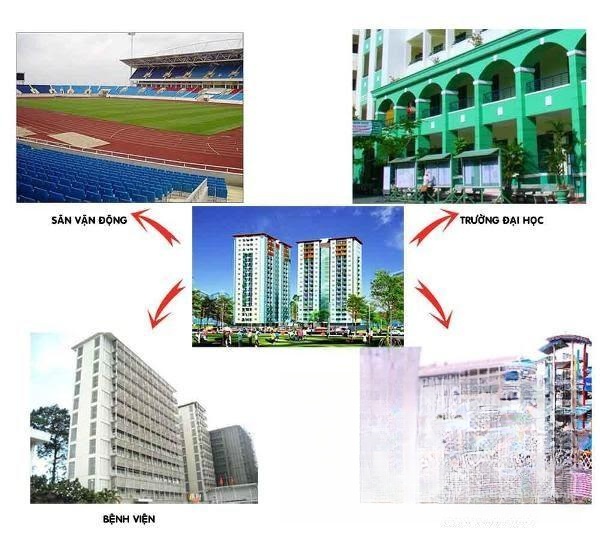 Chi tiết dự án