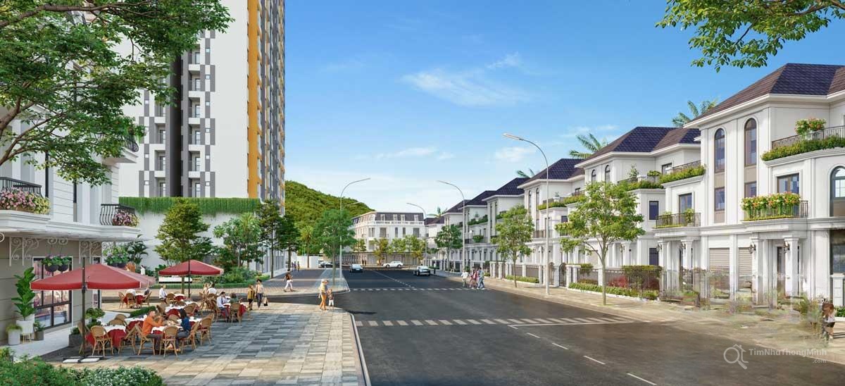 Chi tiết dự án