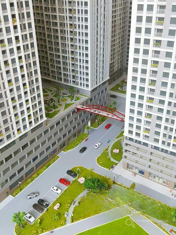 Chi tiết dự án