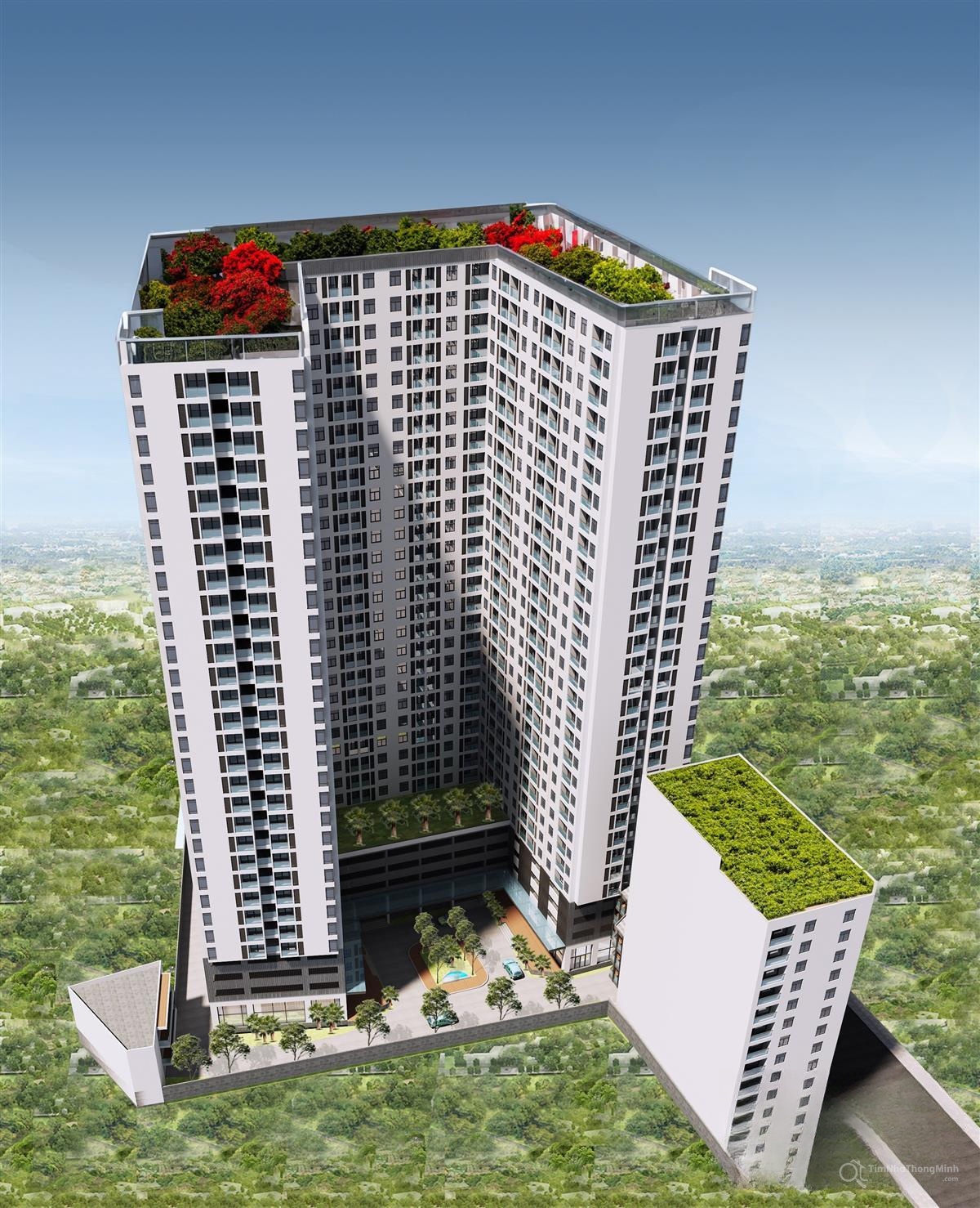 Chi tiết dự án