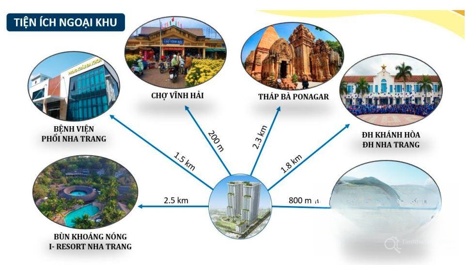 Chi tiết dự án