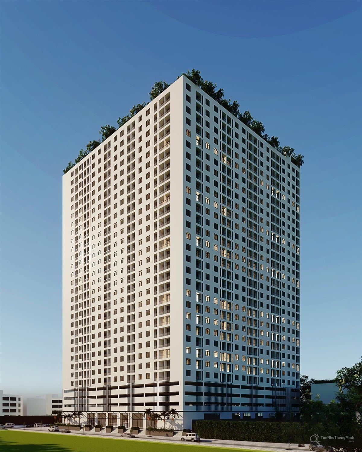 Chi tiết dự án