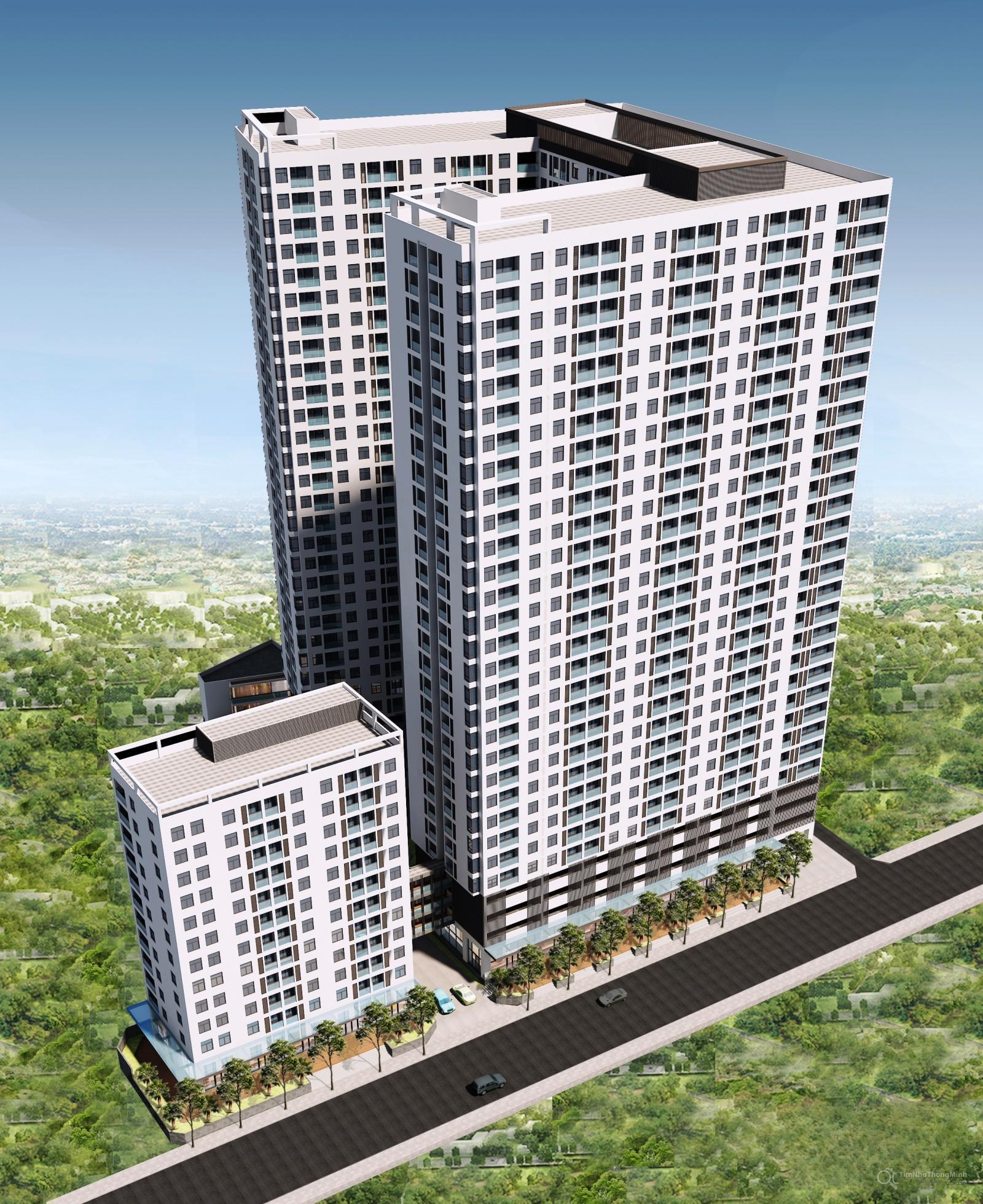 Chi tiết dự án