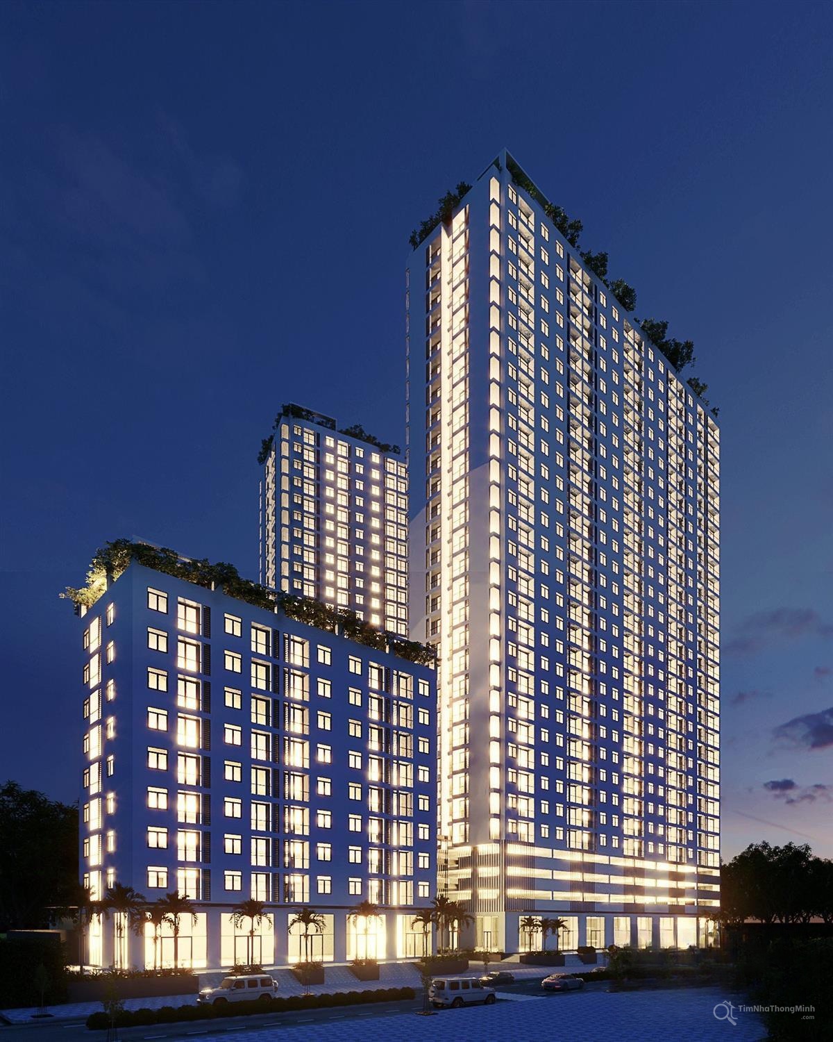 Chi tiết dự án
