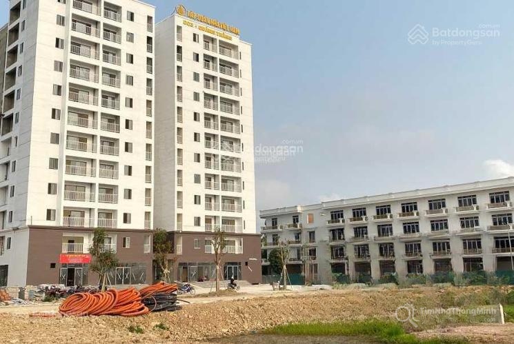 Chi tiết dự án