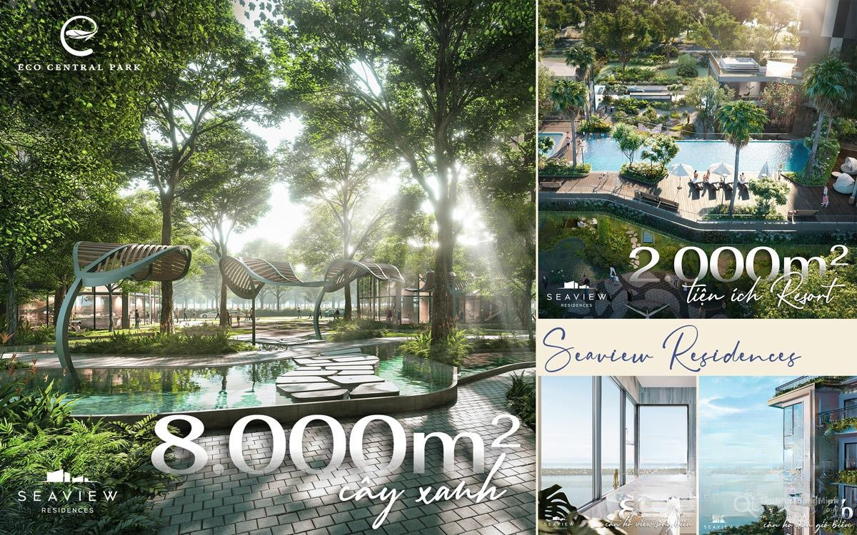 Hình ảnh chi tiết dự án