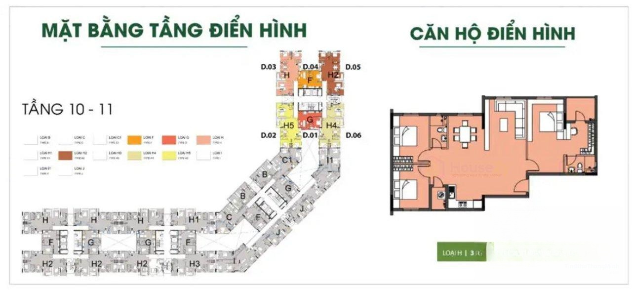 Chi tiết dự án