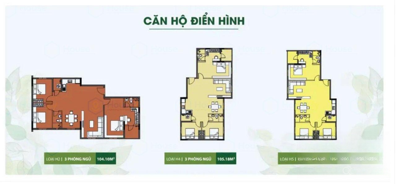 Chi tiết dự án