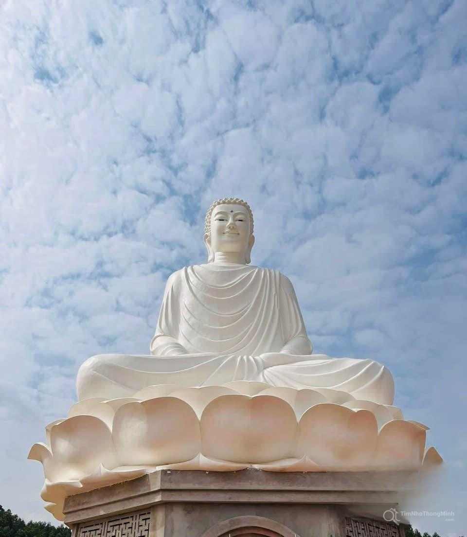 Hình ảnh chi tiết dự án
