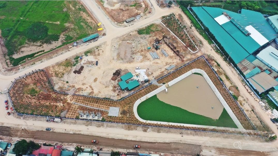 Chi tiết dự án