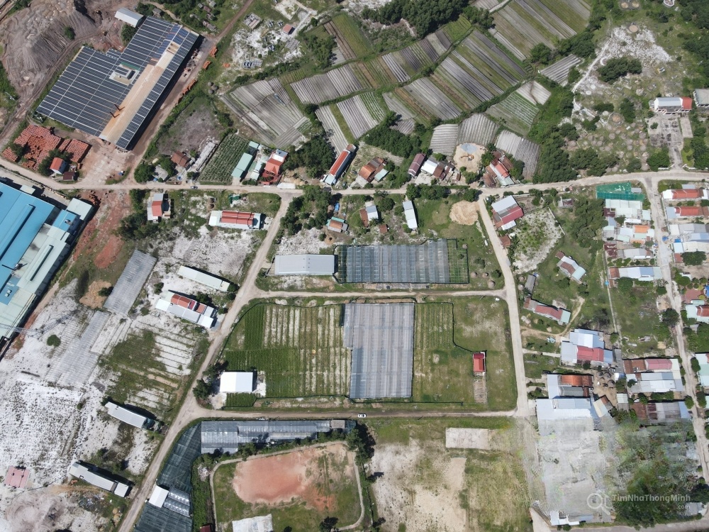 Chi tiết dự án