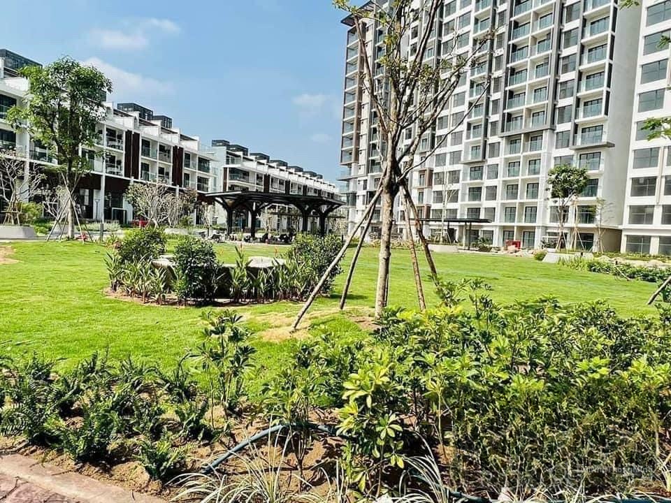 Hình ảnh chi tiết dự án