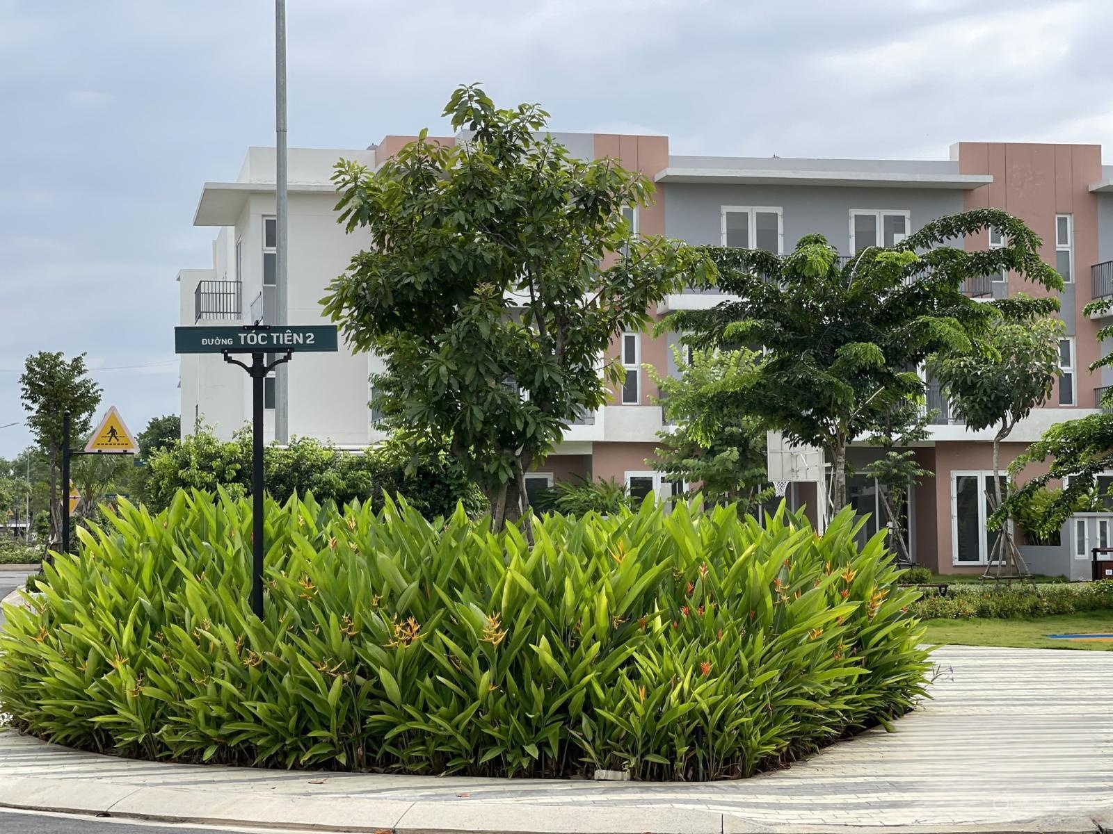 Hình ảnh chi tiết dự án