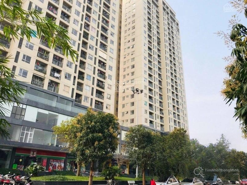 Hình ảnh chi tiết dự án