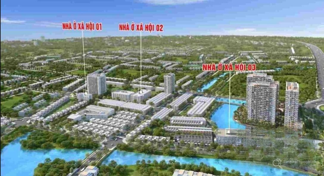 Chi tiết dự án