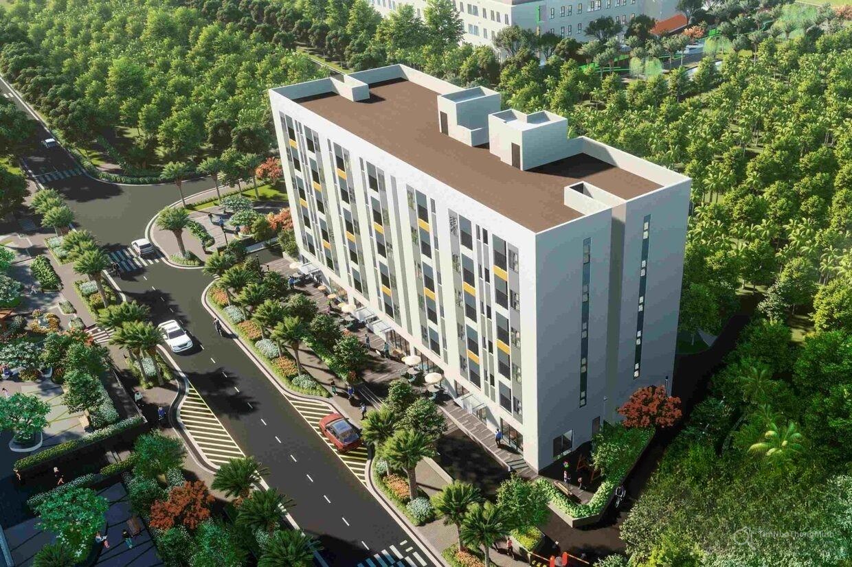 Chi tiết dự án