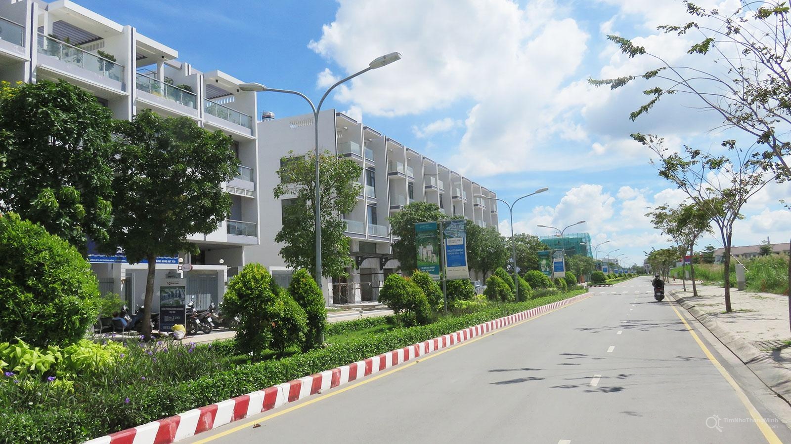 Chi tiết dự án