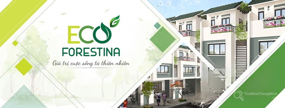 Eco Forestina - Hình ảnh bất động sản 1/4
