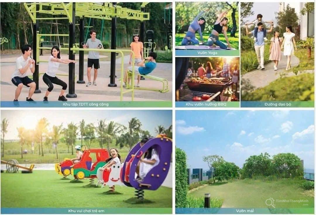 Chi tiết dự án