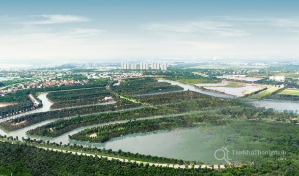 Ecopark Grand - The Island - Hình ảnh bất động sản 1/6