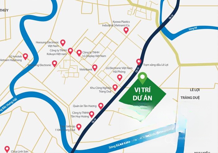 Chi tiết dự án