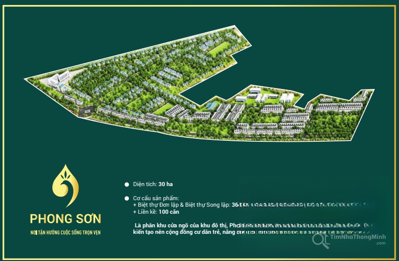 Chi tiết dự án