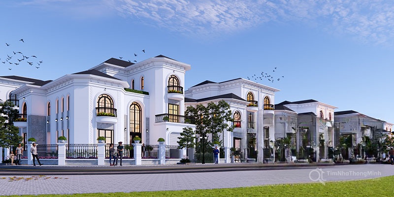 Chi tiết dự án