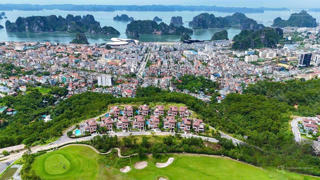 Hình ảnh chi tiết dự án