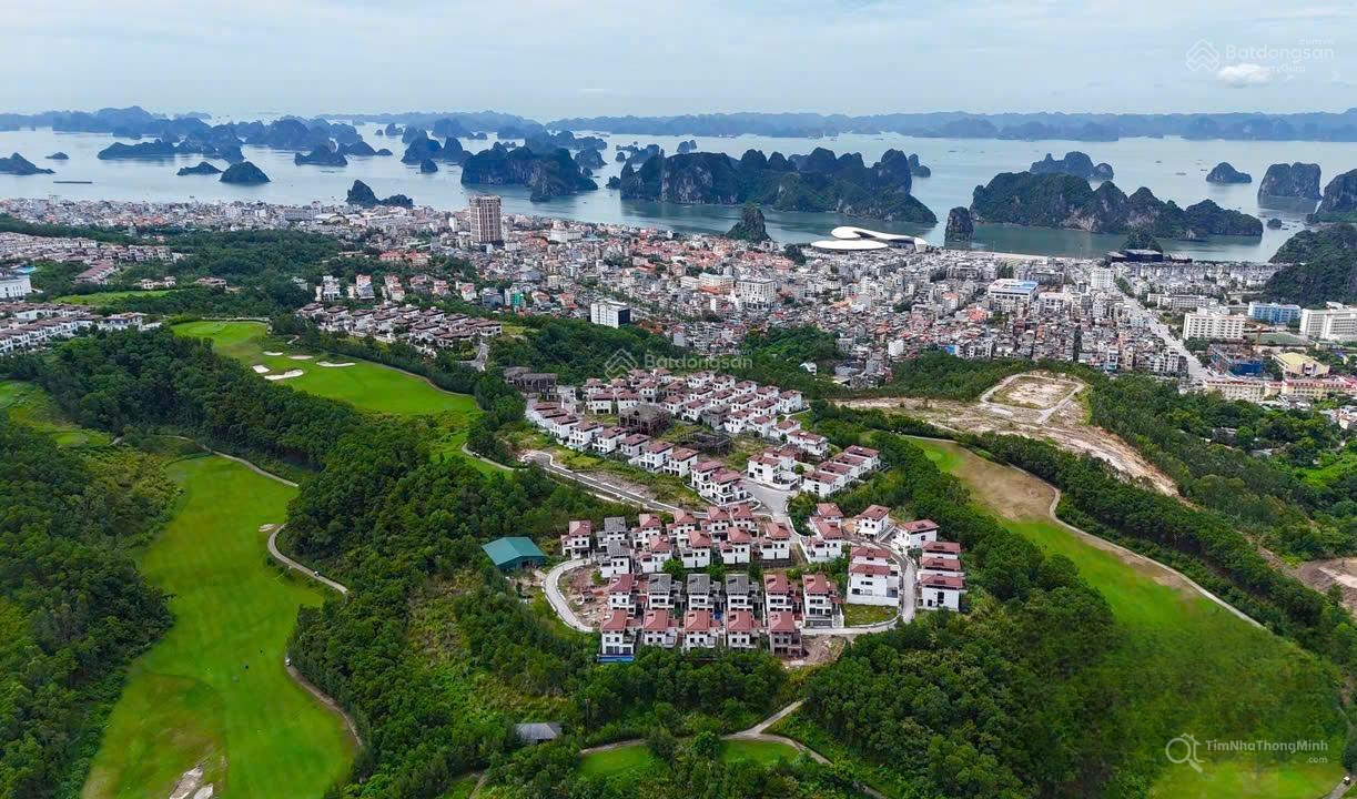Hình ảnh chi tiết dự án