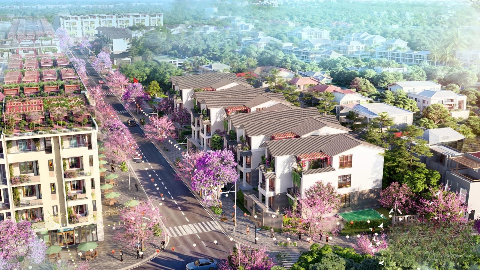 Hình ảnh chi tiết dự án