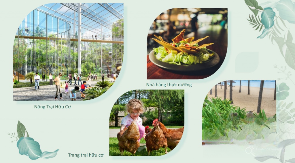 Các tiện ích nội khu tại Furama Resort & Spa Phú Quốc