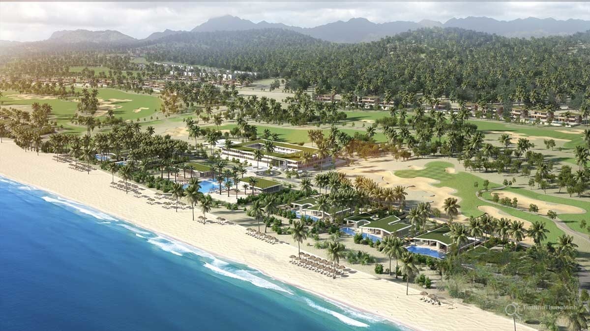 Chi tiết dự án