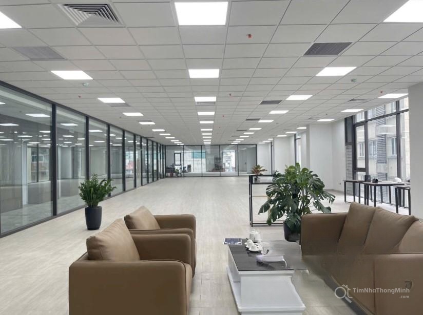 Chi tiết dự án