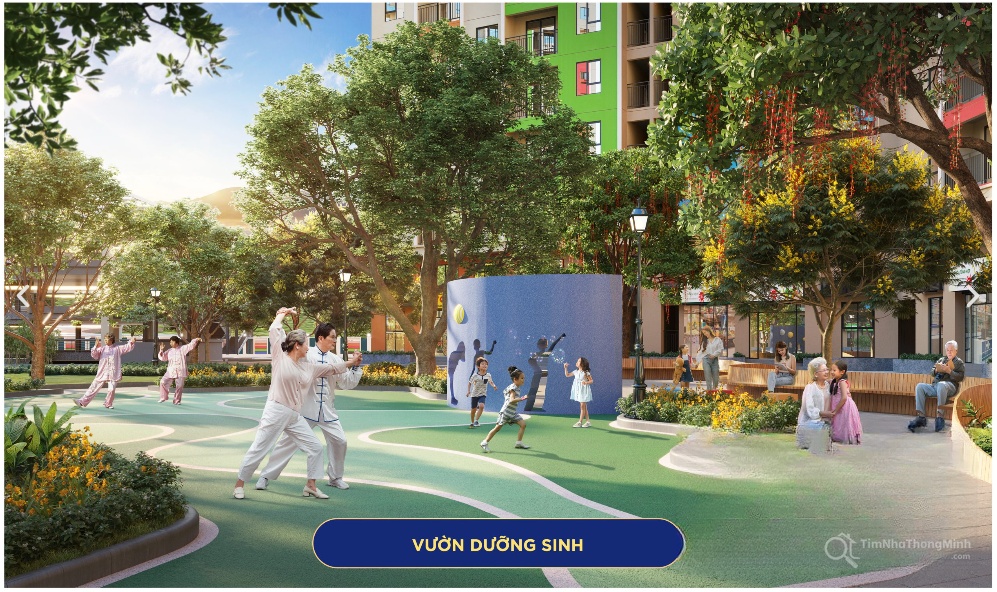 Chi tiết dự án