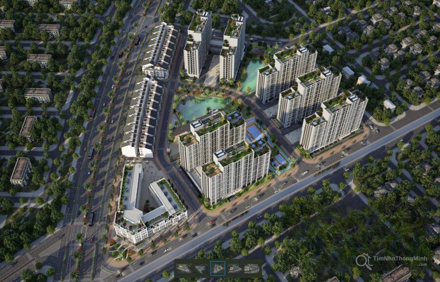 Chi tiết dự án