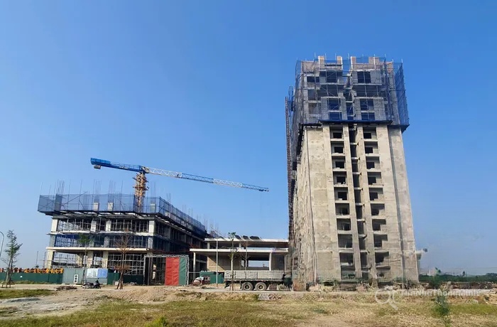 Chi tiết dự án